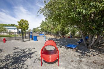 Pet park with obstacle course